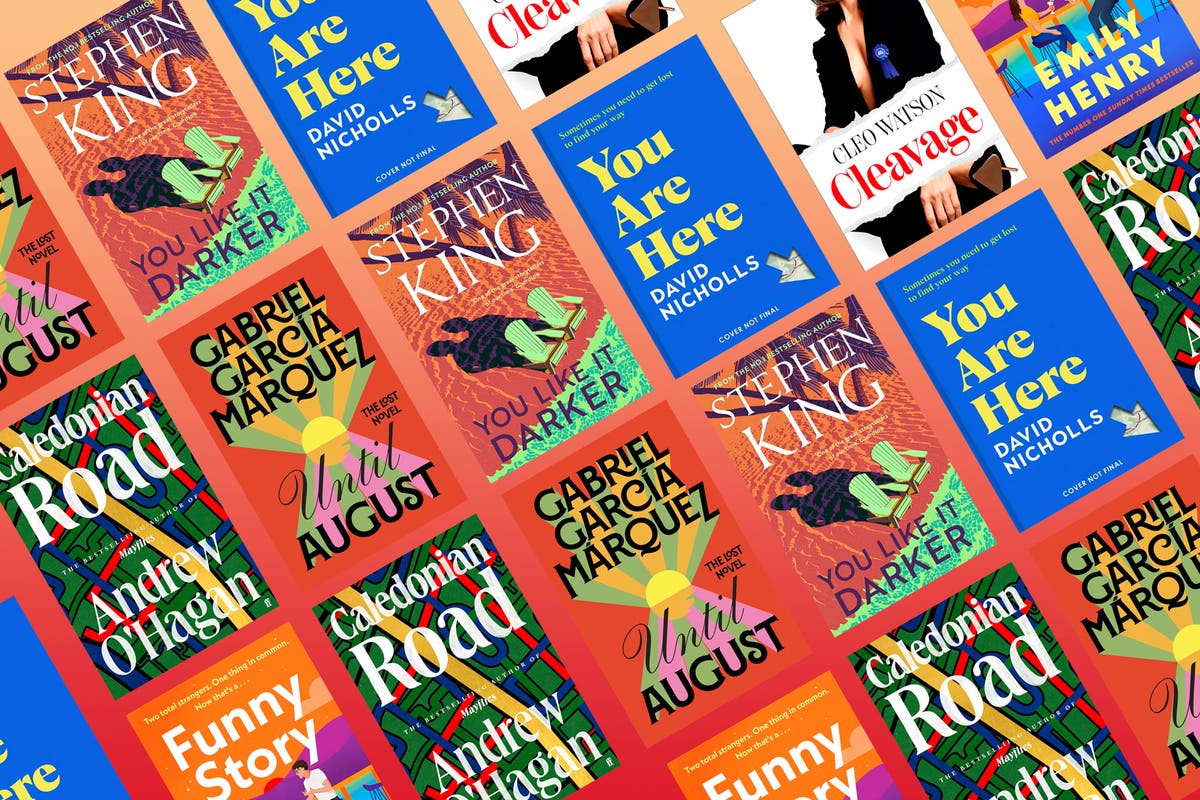 The best fiction books to read in 2024, from David Nicholls to Kiley